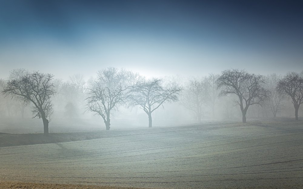 Photograph by Андрей Ожерельев