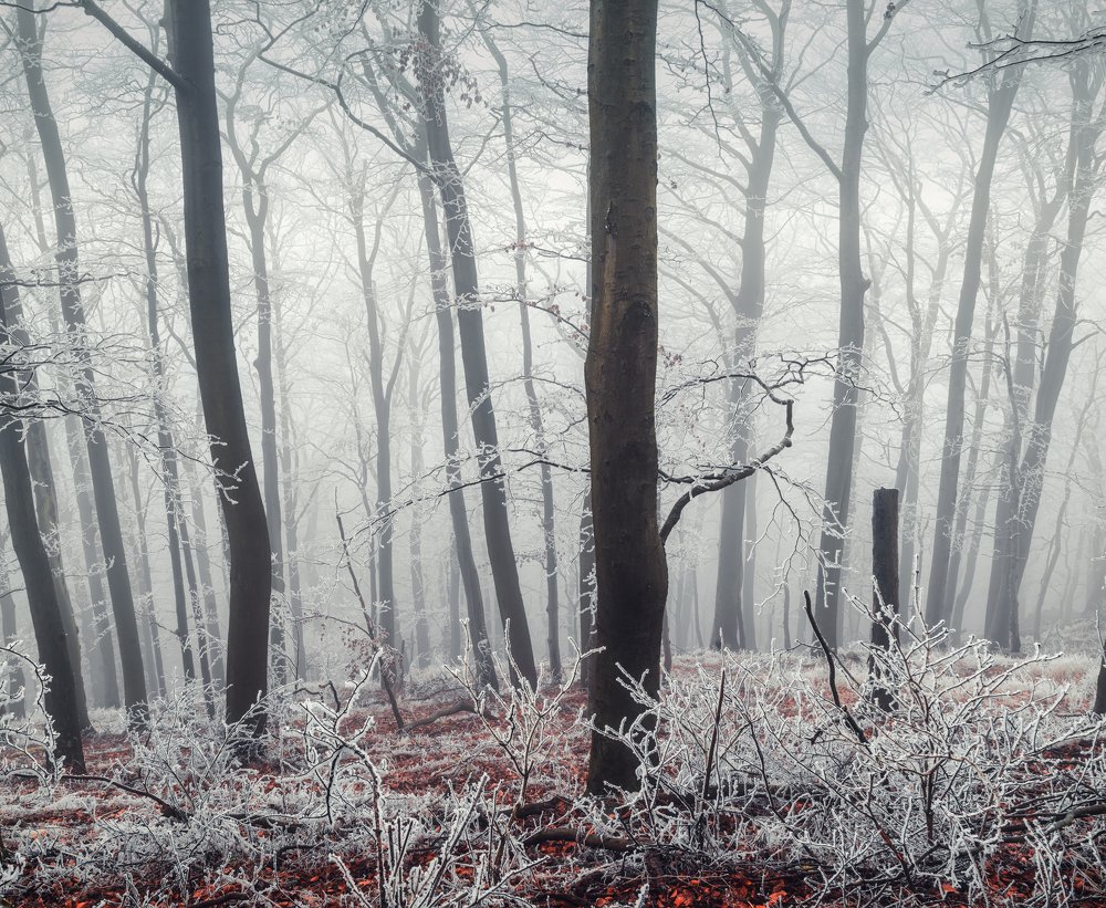 Photograph by Андрей Ожерельев