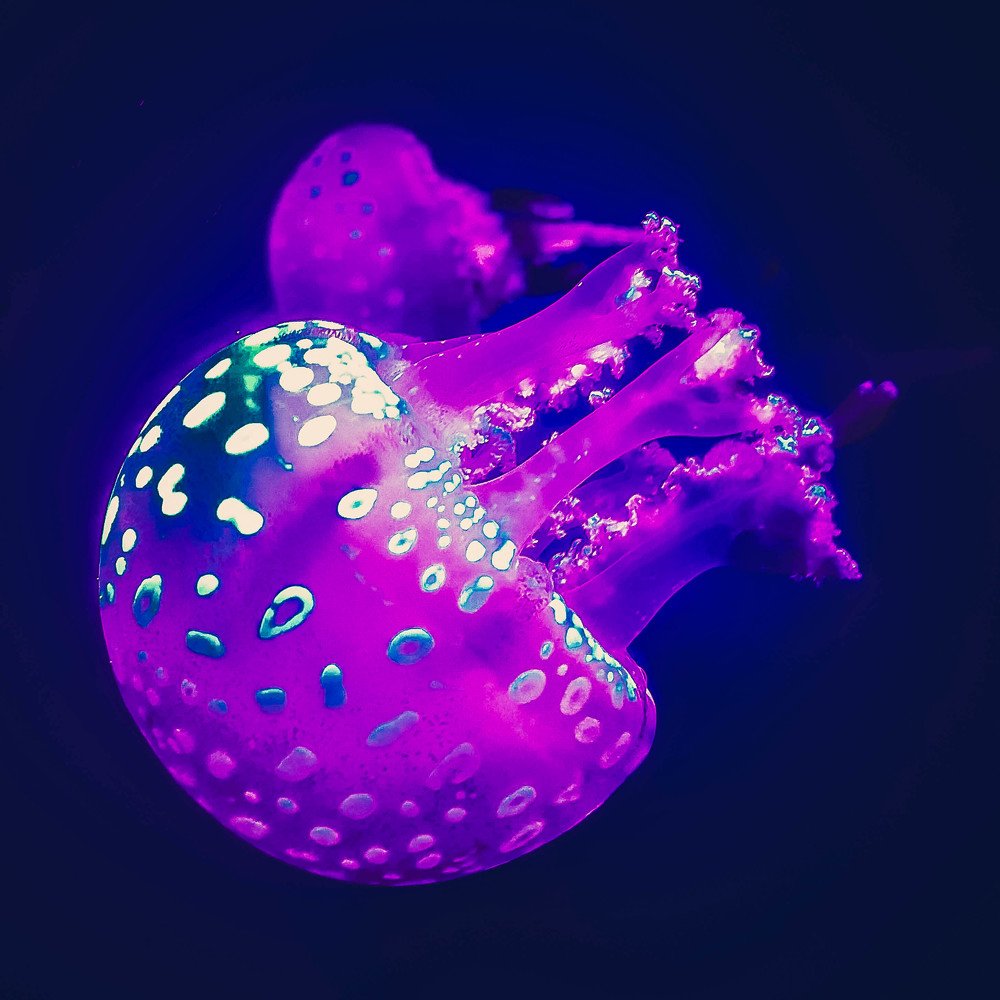 Photograph by Диана Бикмухаметова