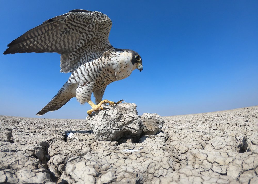 Photograph by Dharmik Prajapati