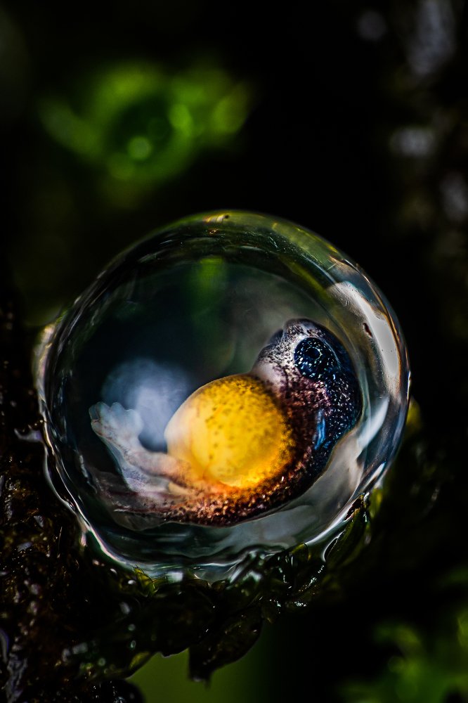 Photograph by PavanKumar TS