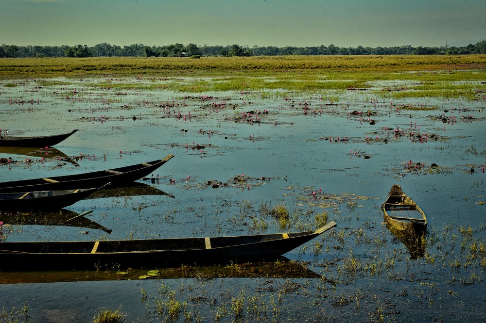 Photograph by Amit Chowdhury