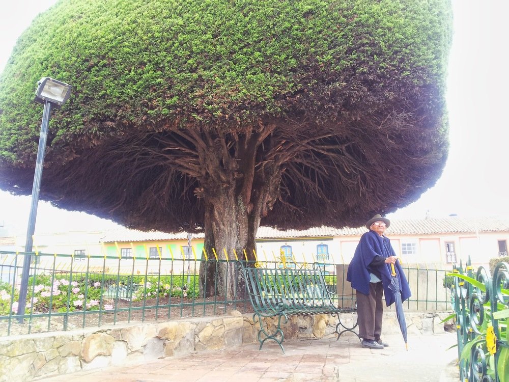 Photograph by YESID CASTRO