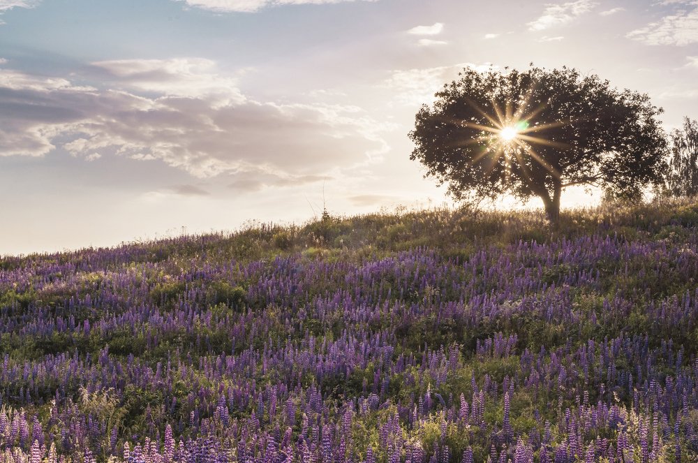 Photograph by Aliaksei Shandalin