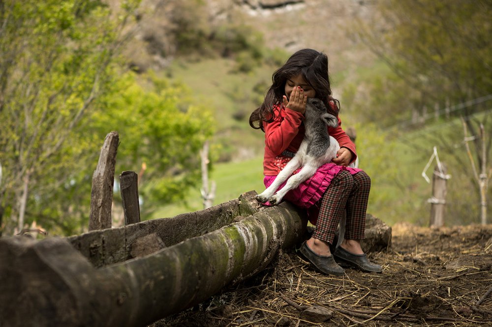 Photograph by Ali Shafie Koli