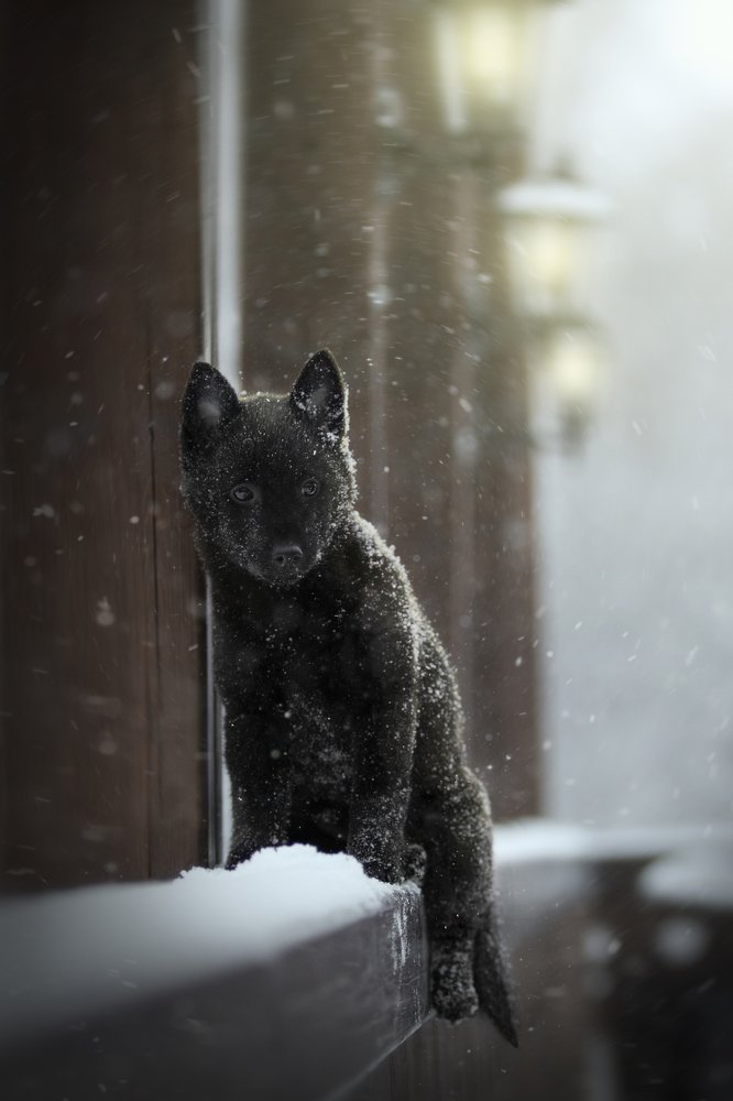 Photograph by Алена Райфутдинова