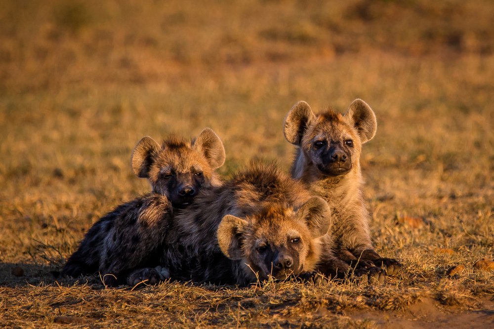 Photograph by Aqil Ahmad Sharifuddeen