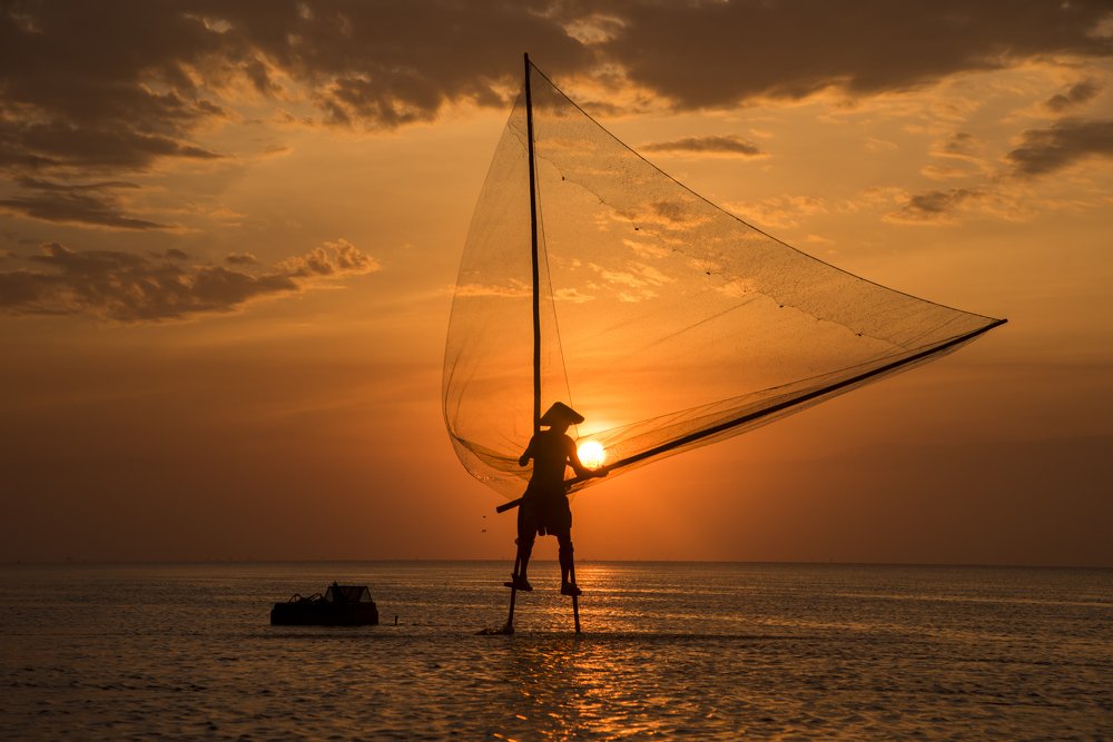 Photograph by tu mai anh