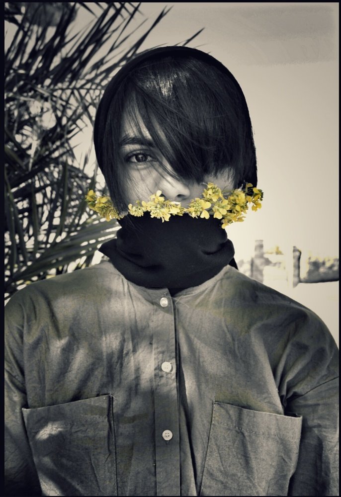 Photograph by somayeh tosifiyan