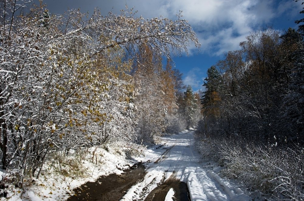 Photograph by Михаил Шергин-Леонов