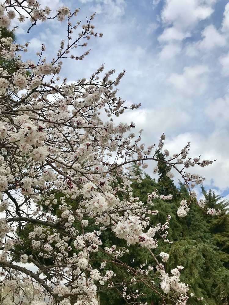 Photograph by aryanavy