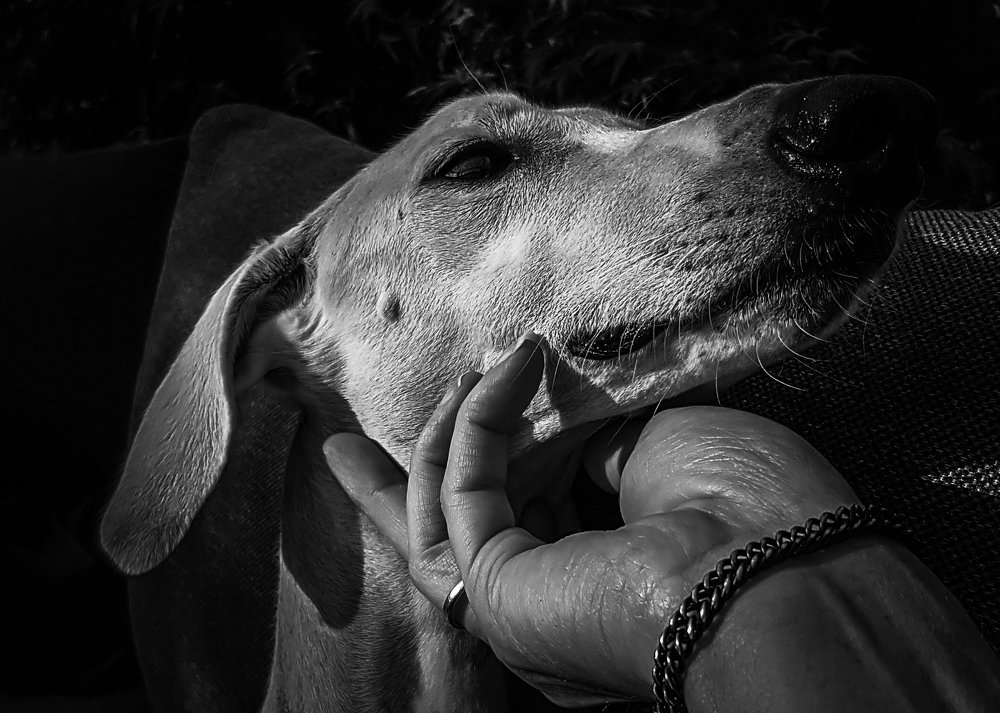 Photograph by Ray Snider