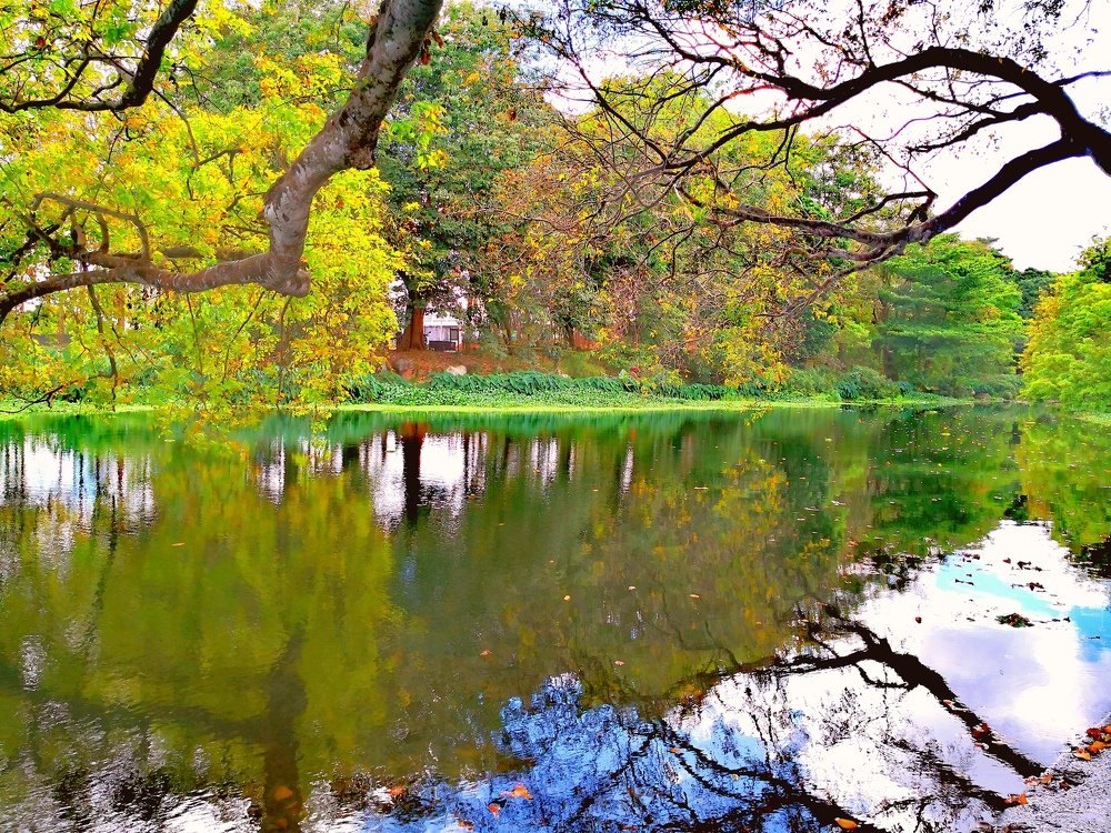 Photograph by Gawtam Julha