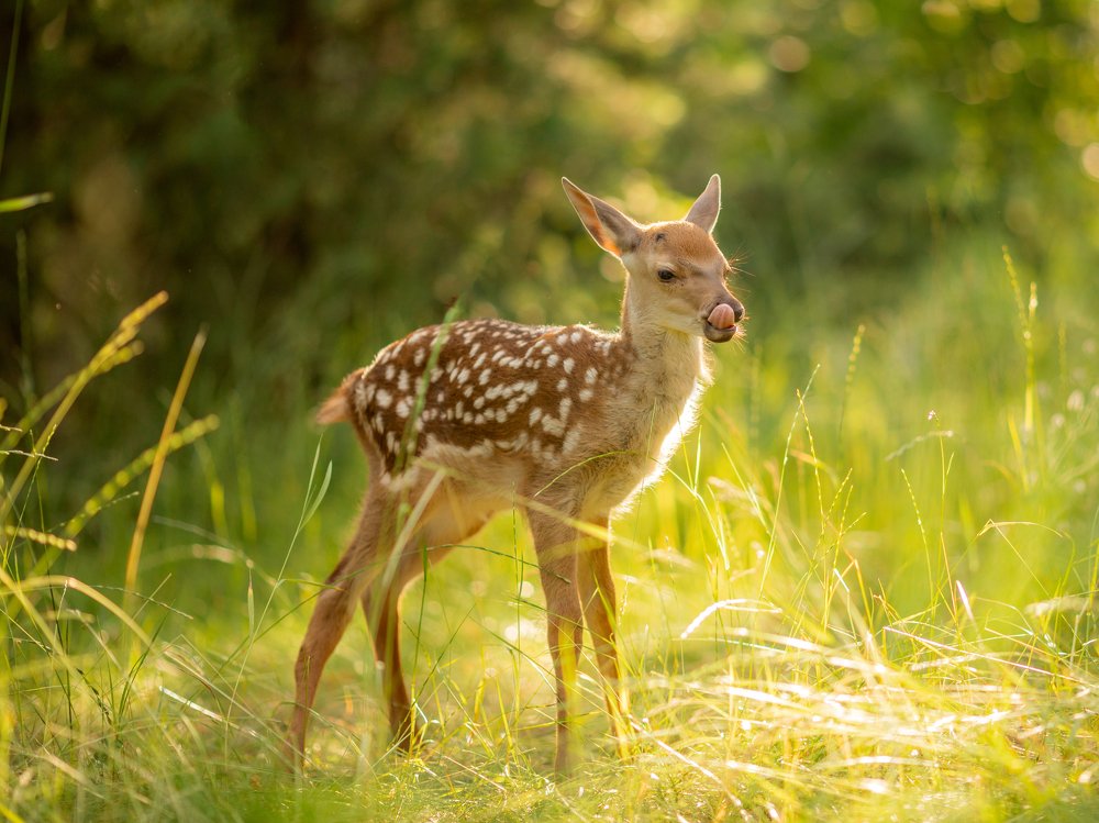 Photograph by Маргарита Черкасова