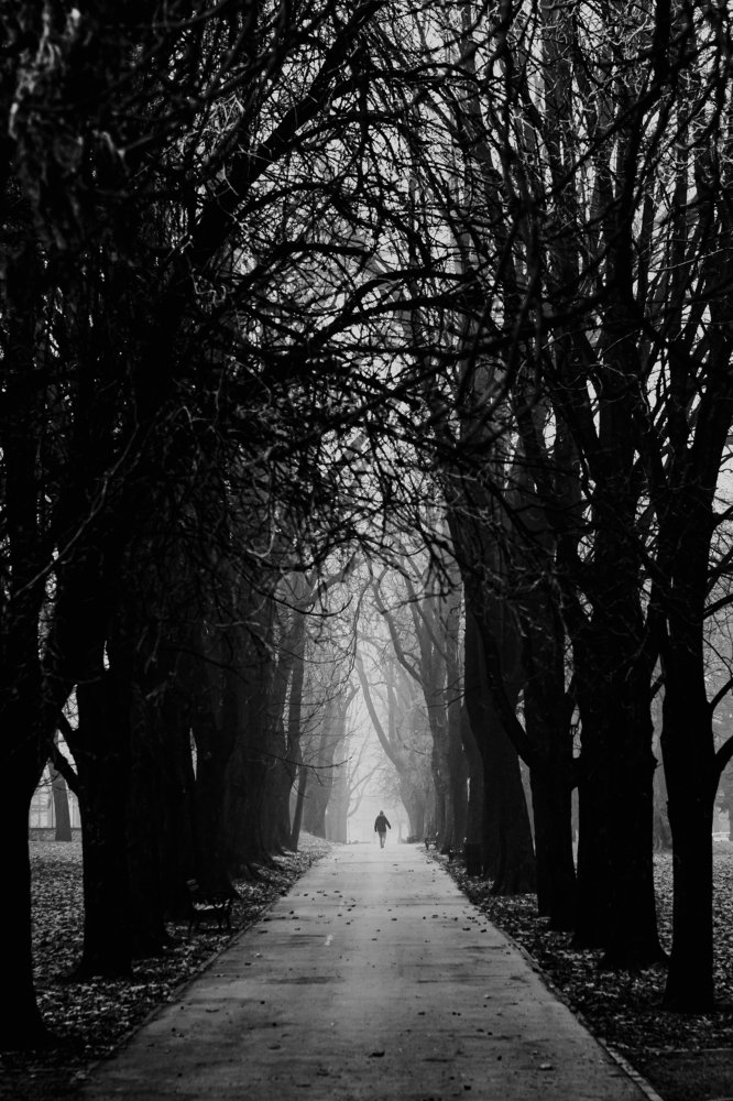 Photograph by Ernest Mazarekić