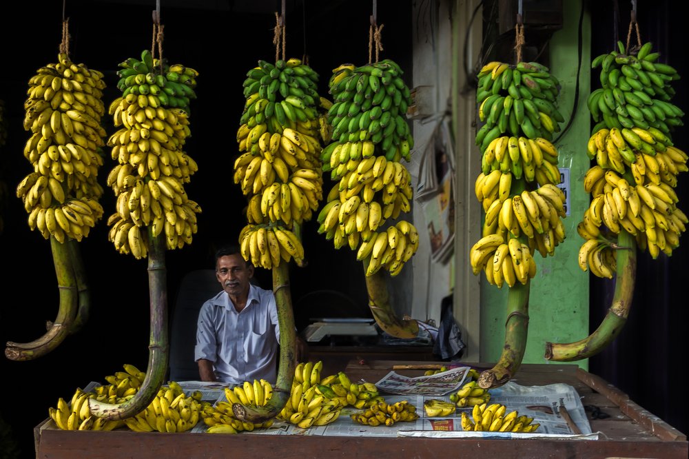 Photograph by Aqil Ahmad Sharifuddeen