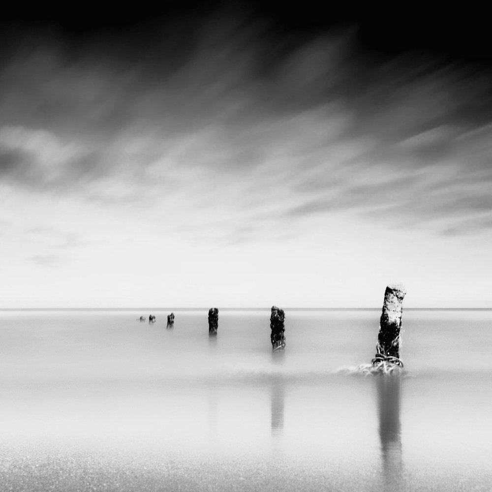 Photograph by Saberi Mehrsa