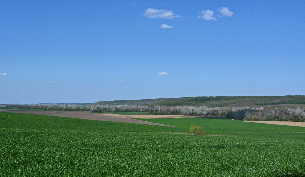 Photograph by Петр Заровнев