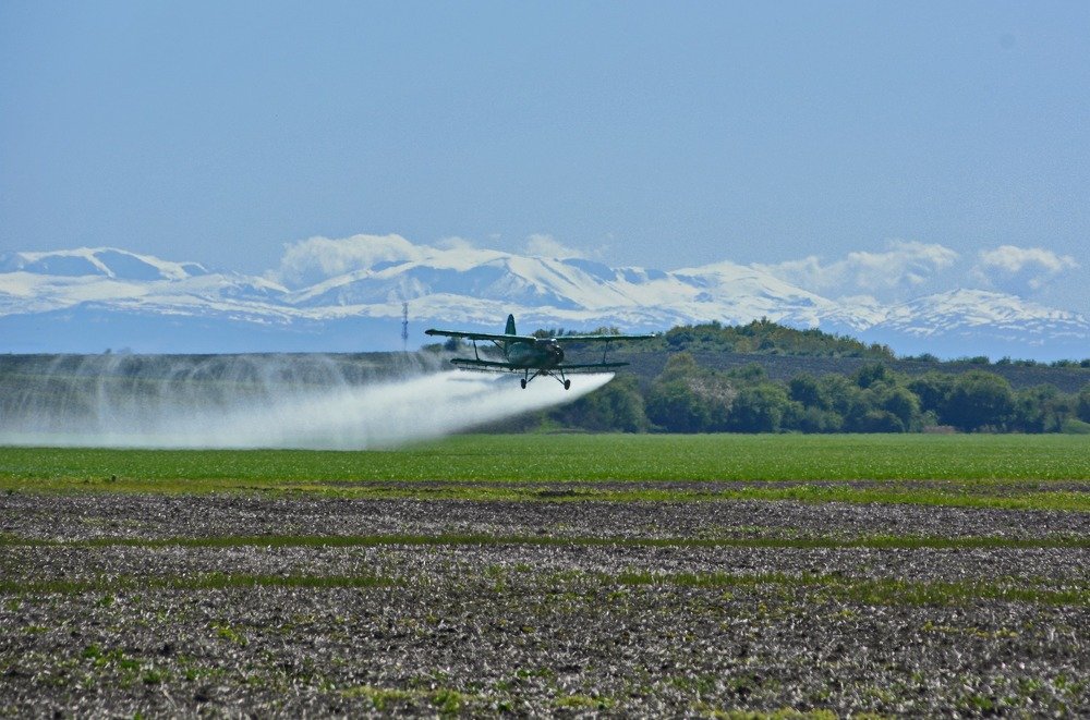 Photograph by Петр Заровнев