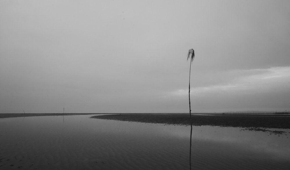 Photograph by Morteza Ghanbari