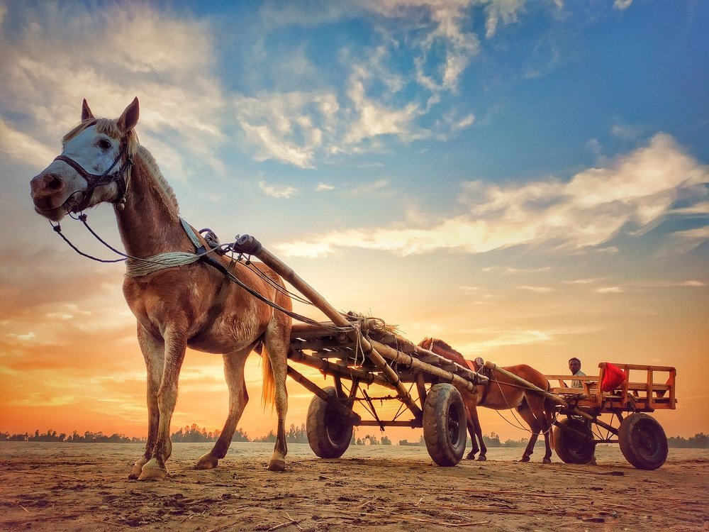 Photograph by Md. Miraz Ul Kabir