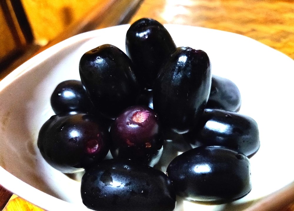 Photograph by Sharma Dr Megha