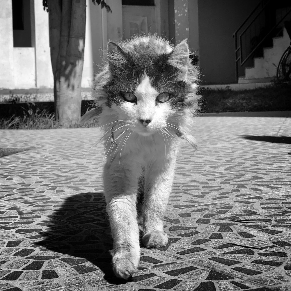 Photograph by Mateo Mercado