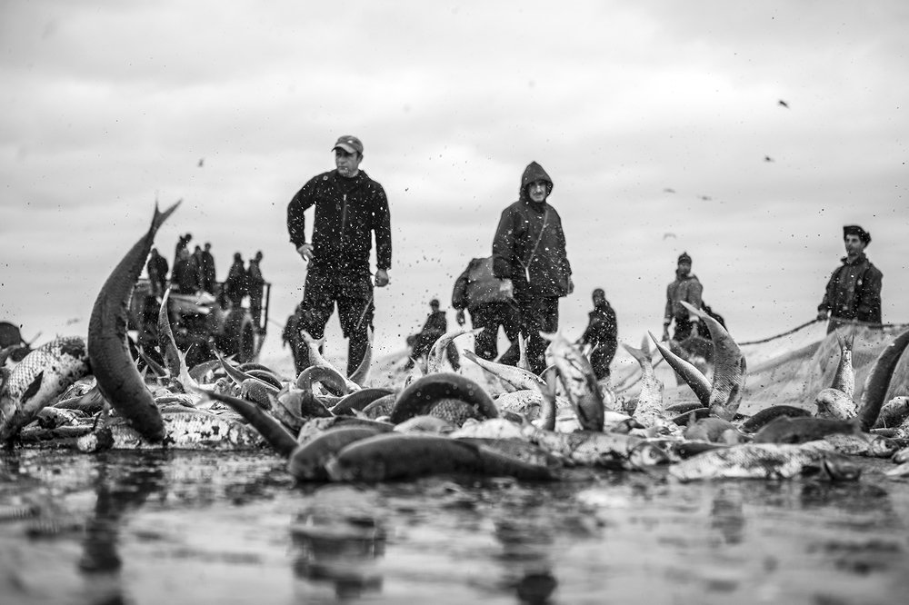 Photograph by Ali Shafie Koli