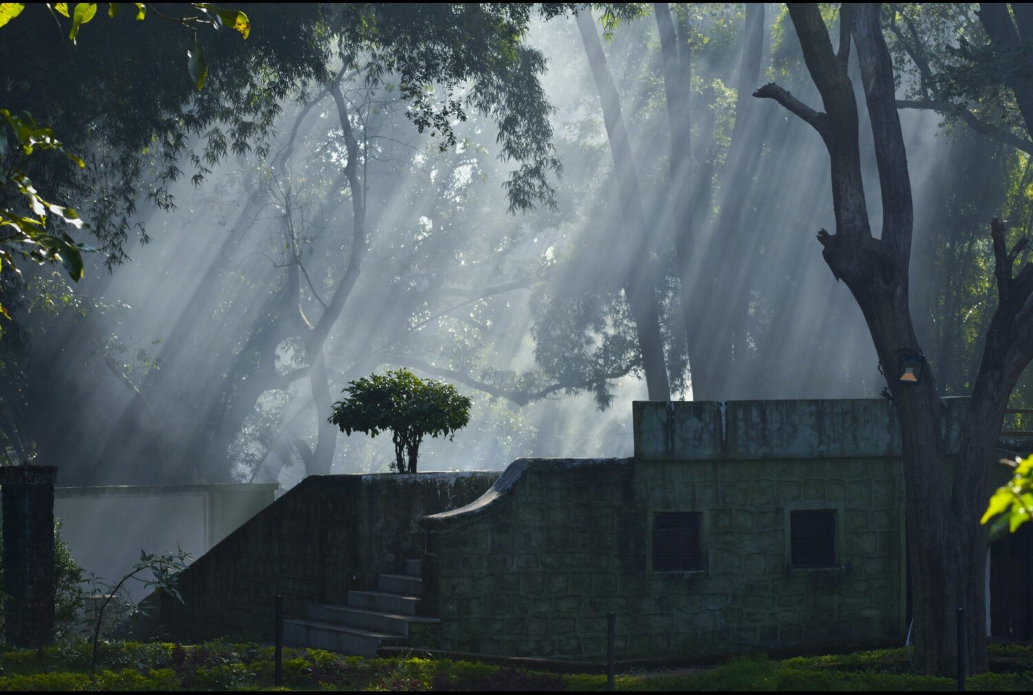 Into the myst