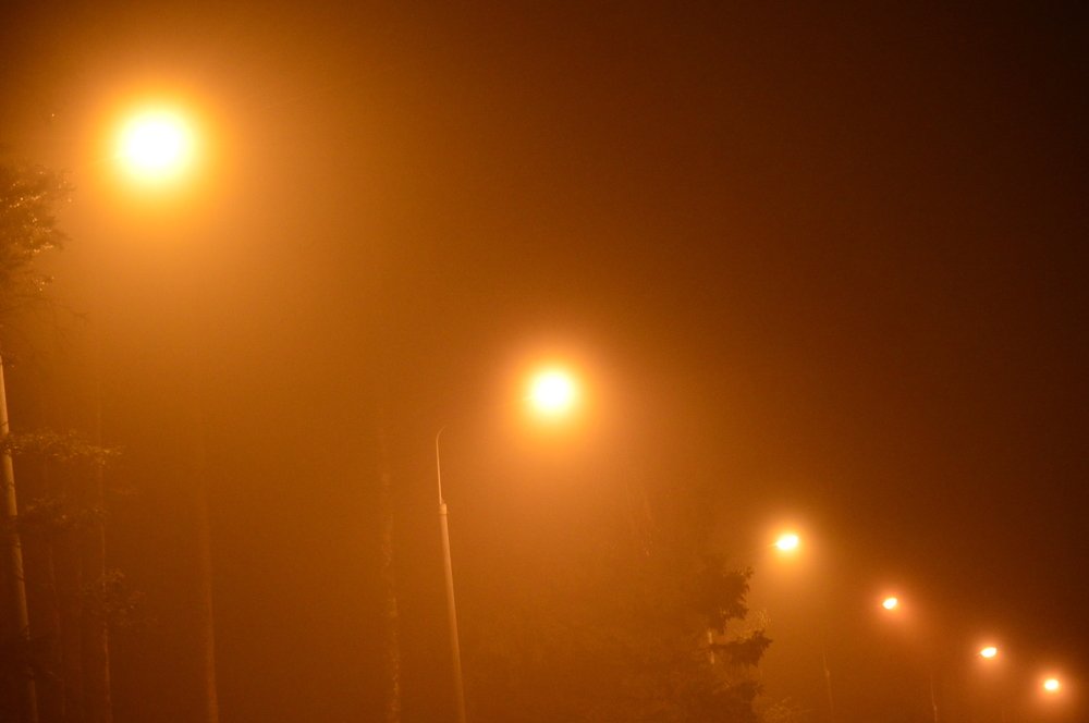 Photograph by Nadezhda Rav