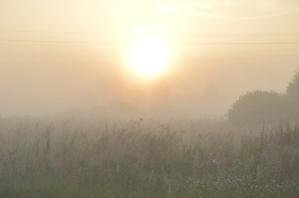 Photograph by Nadezhda Rav