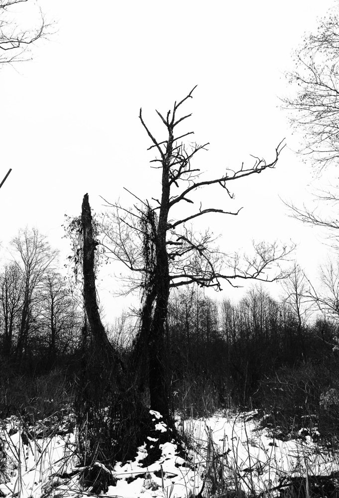 Photograph by Александр Бородин