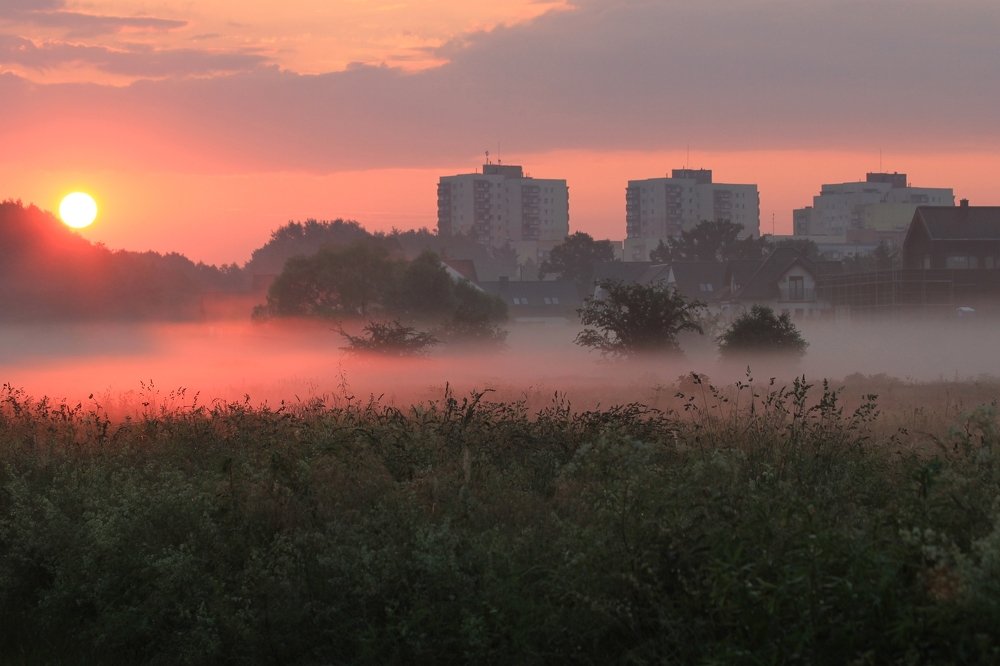Sunrise over the meadows