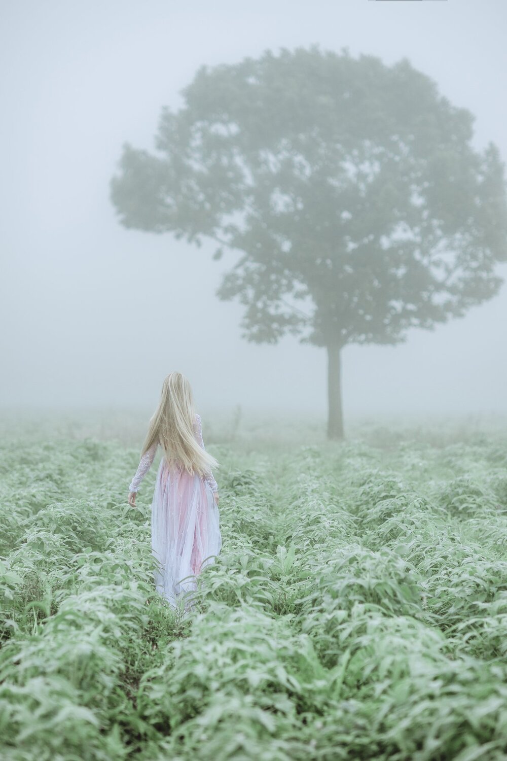 Photo #4711808