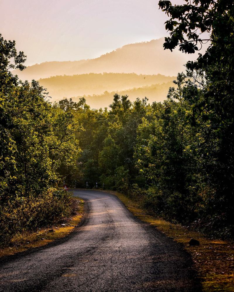 Nature is not a Place to visit ; It is our home !!!