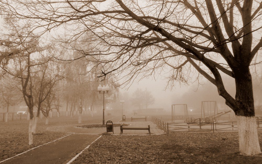 Photograph by Жанна Валиева