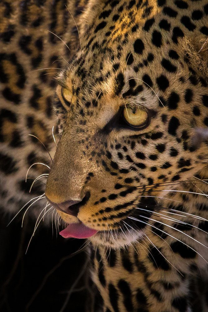 Photograph by Aqil Ahmad Sharifuddeen