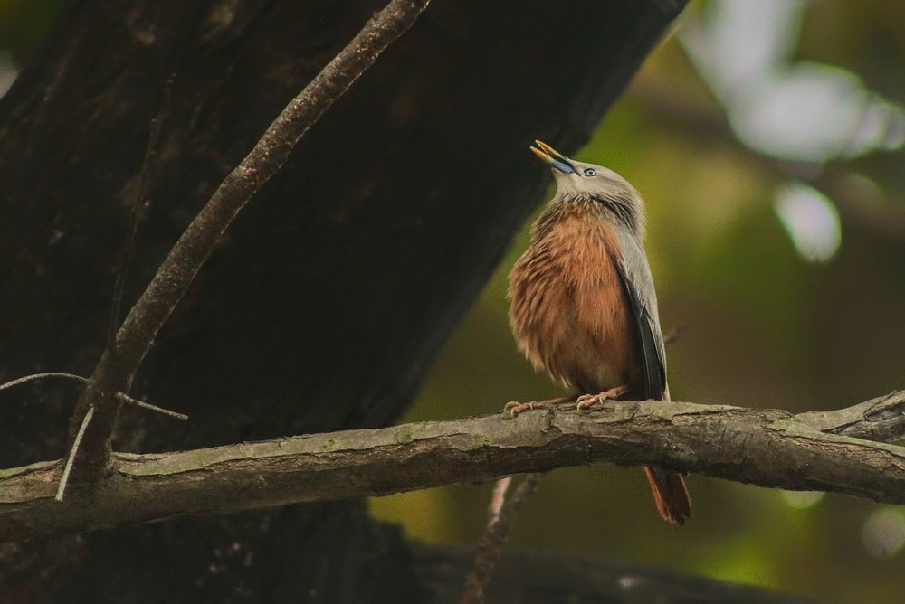 Photograph by Tofayel Ahmed