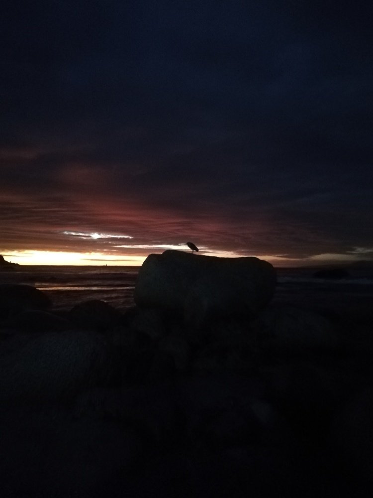 Photo #4711992