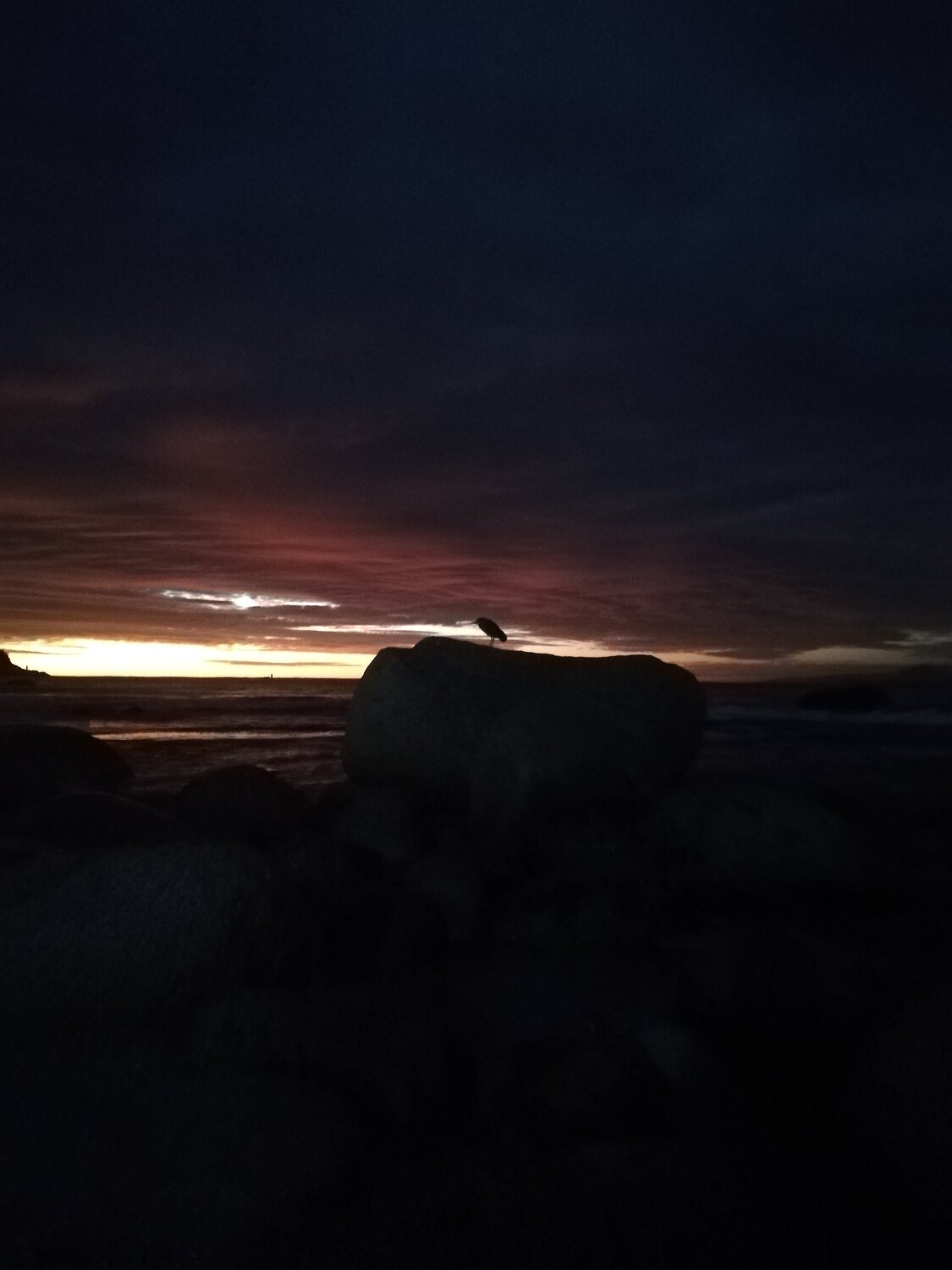 Photo #4711992
