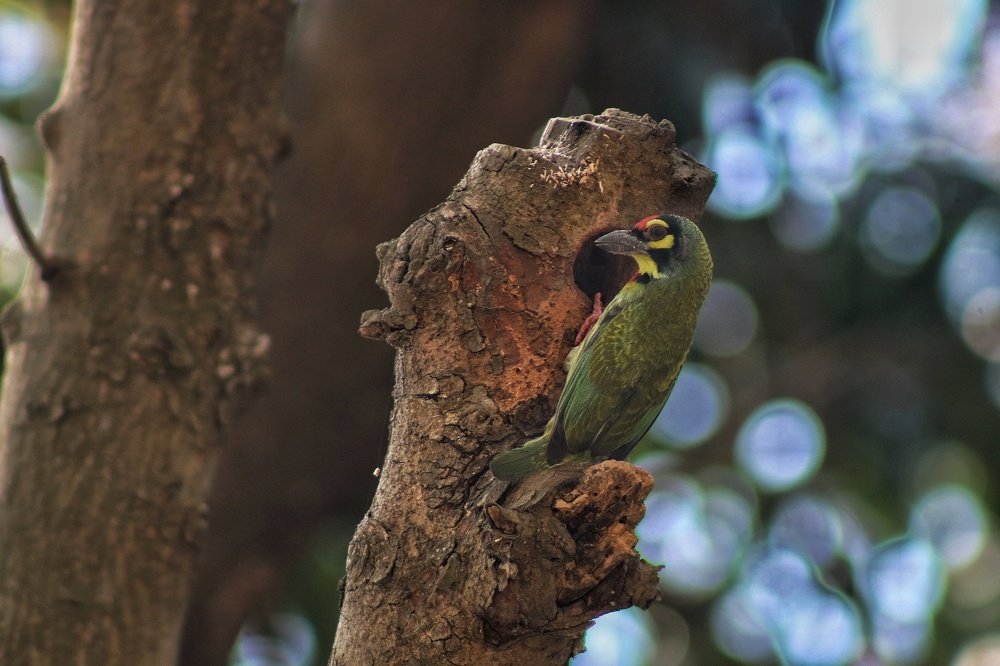 Photograph by Tofayel Ahmed