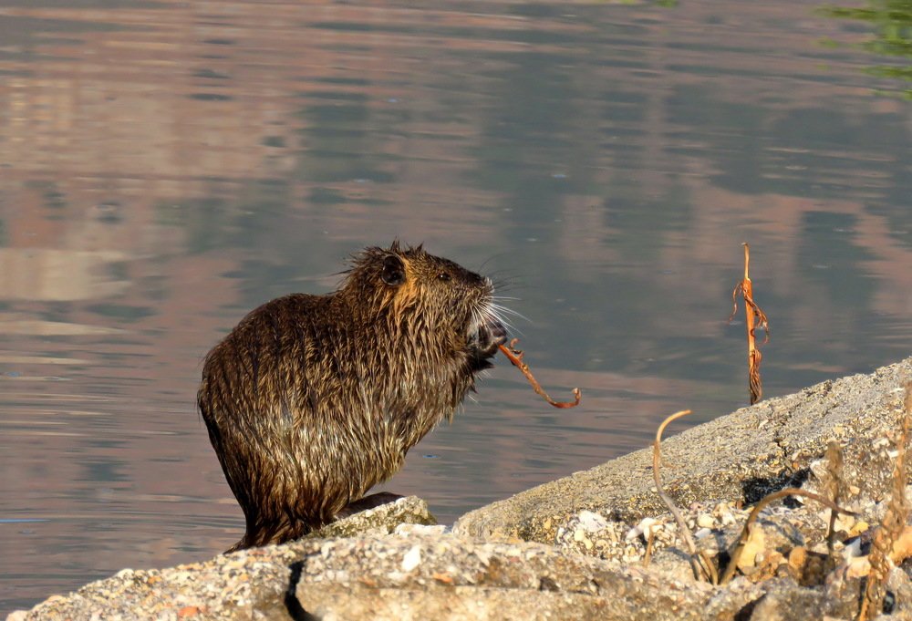 Photograph by Николай Волков