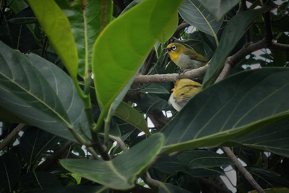 Photograph by Tofayel Ahmed