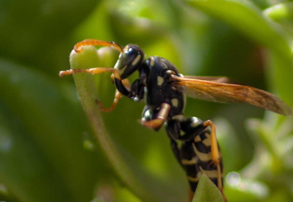Photograph by miguel angel callejas