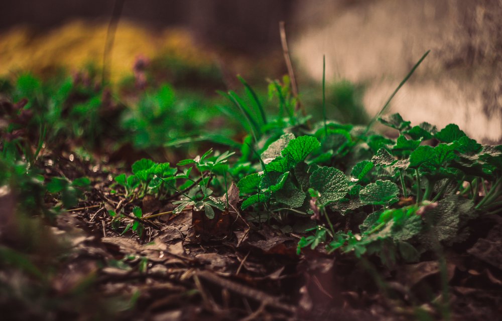 Photograph by Дмитрий Мельников