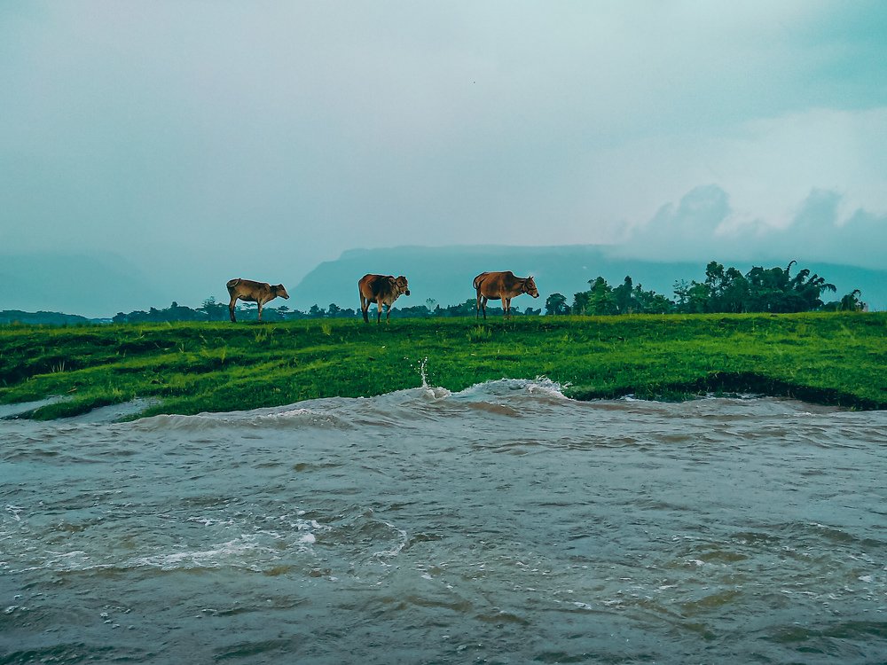 Nature is the art of god