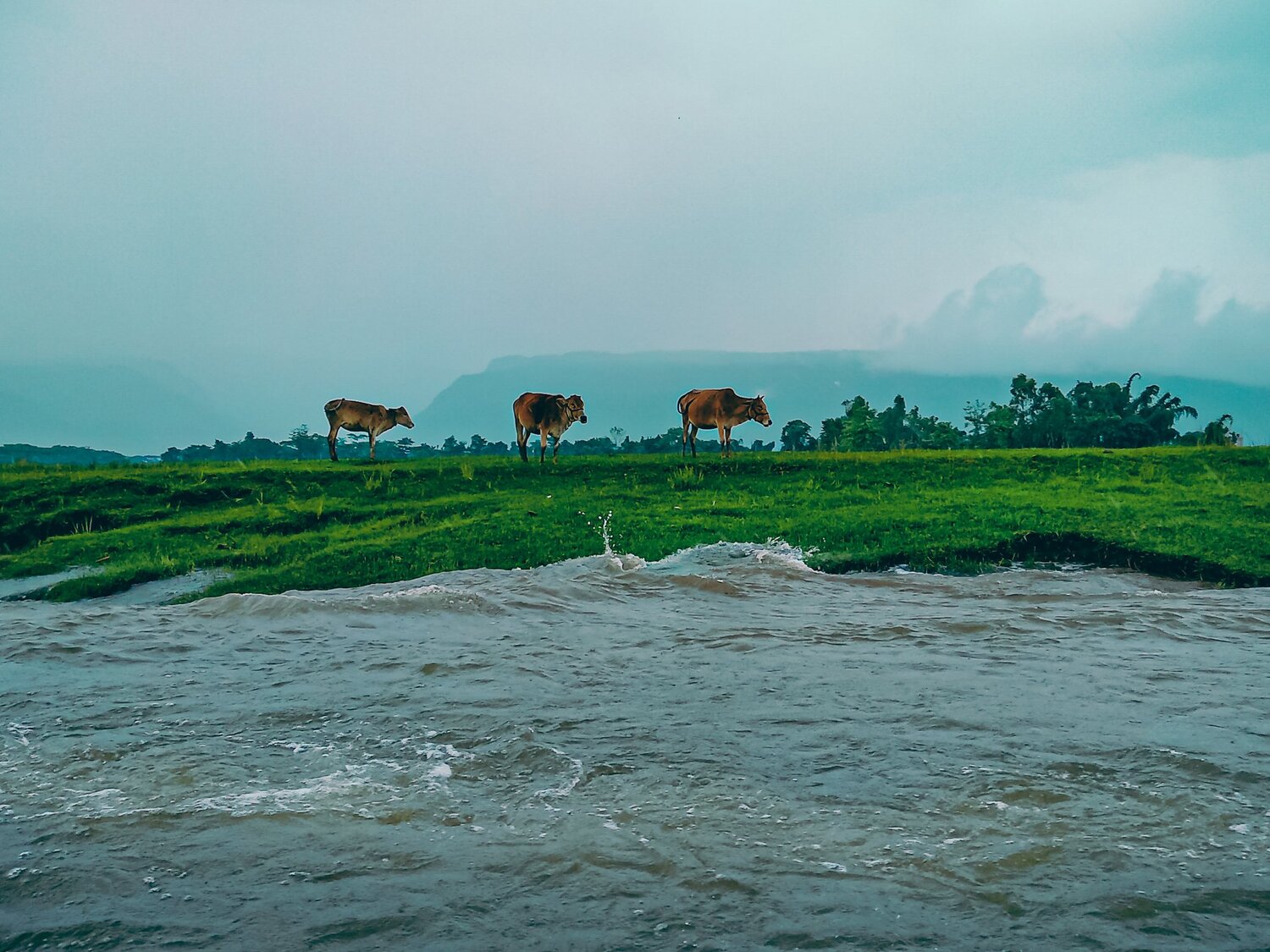 Nature is the art of god