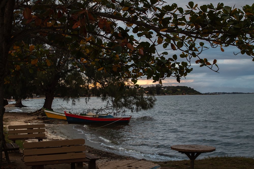 Moving from autumn to winter