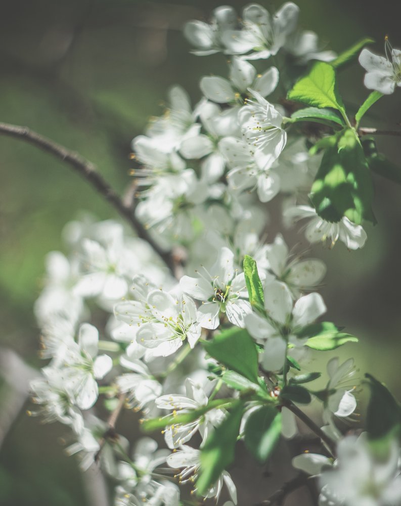 Photograph by Дмитрий Мельников