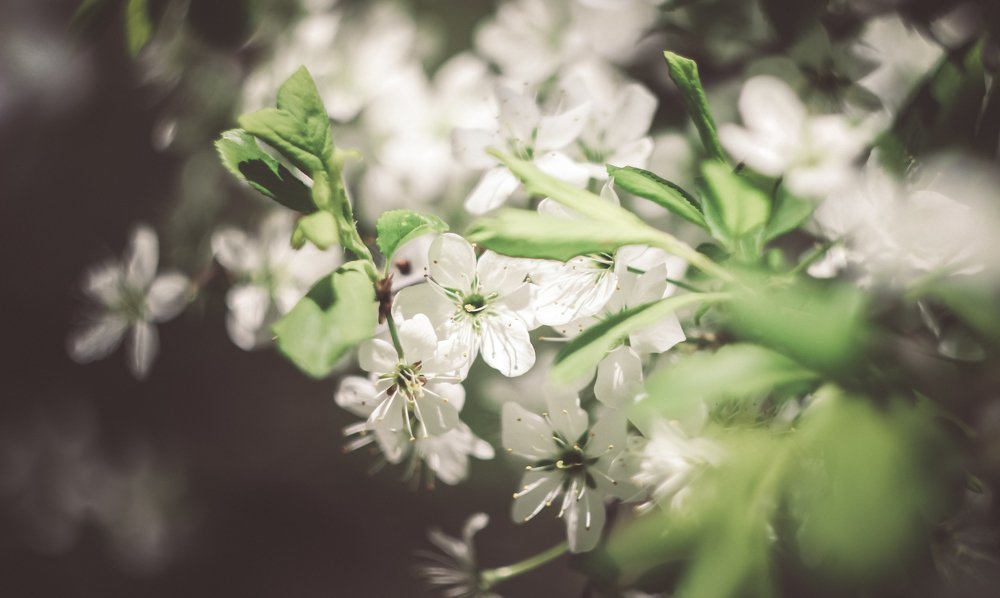 Photograph by Дмитрий Мельников